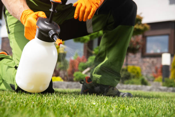 Best Wasp Removal Services  in South Fulton, GA