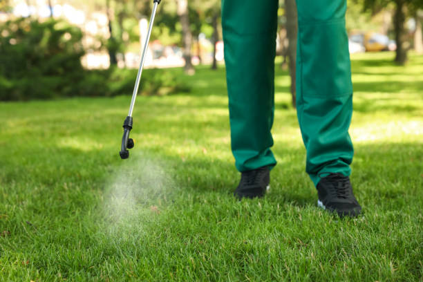 Best Pest Control Near Me  in South Fulton, GA