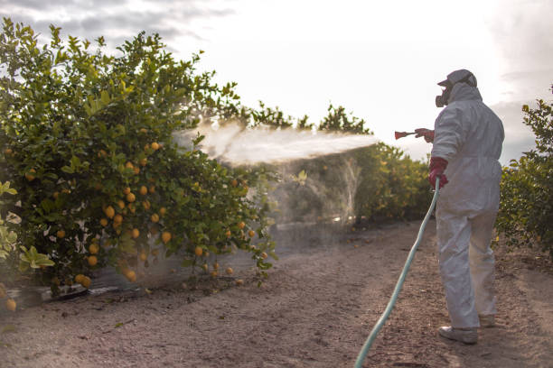 Best Affordable Pest Control Services  in South Fulton, GA