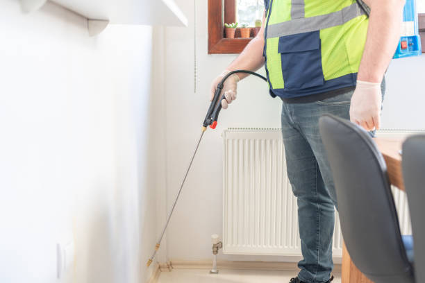 Professional Pest Control in South Fulton, GA
