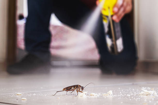 Best Best Pest Control Companies  in South Fulton, GA