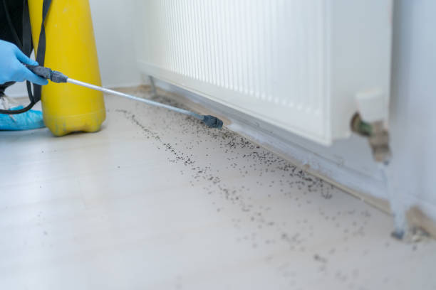 Best Pest Removal Services  in South Fulton, GA