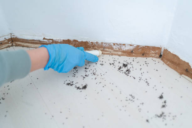 Best Wildlife Control Services  in South Fulton, GA